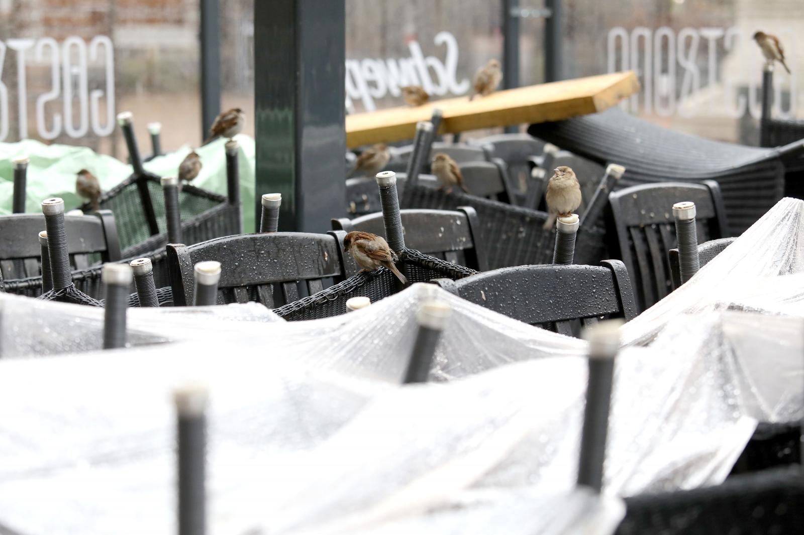 ugostitelji, terase, terasa, kafić, Jedini gosti zatvorenih terasa u centru Zagreba su vrapci