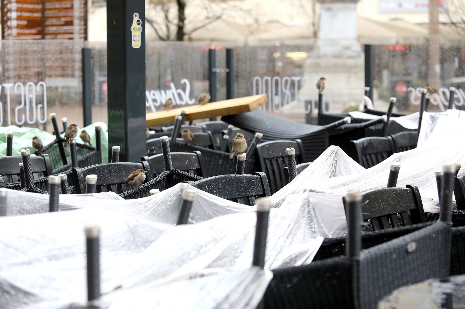 koronavirus, kafići, terase