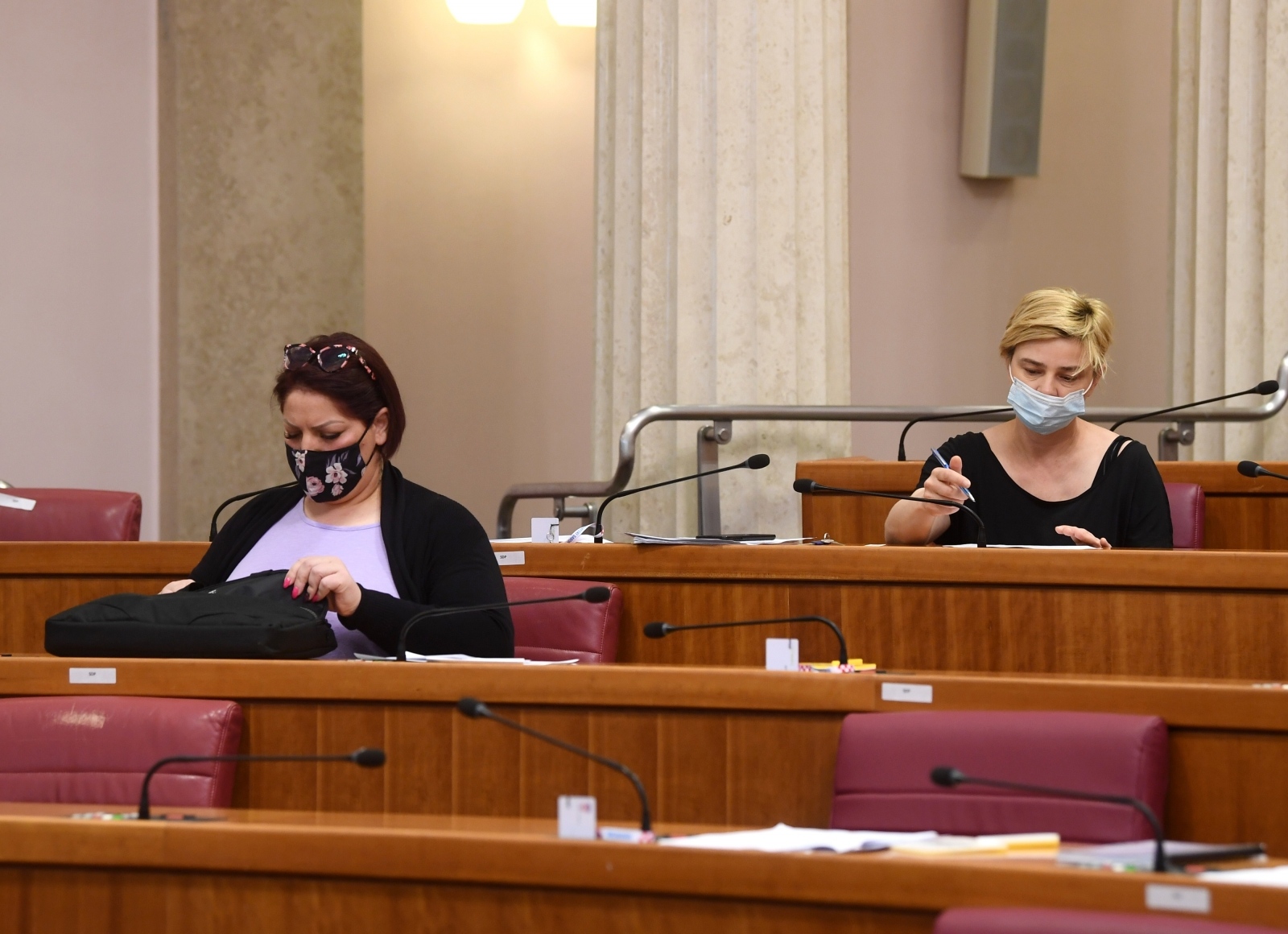 hrvatski sabor, sandra benčić