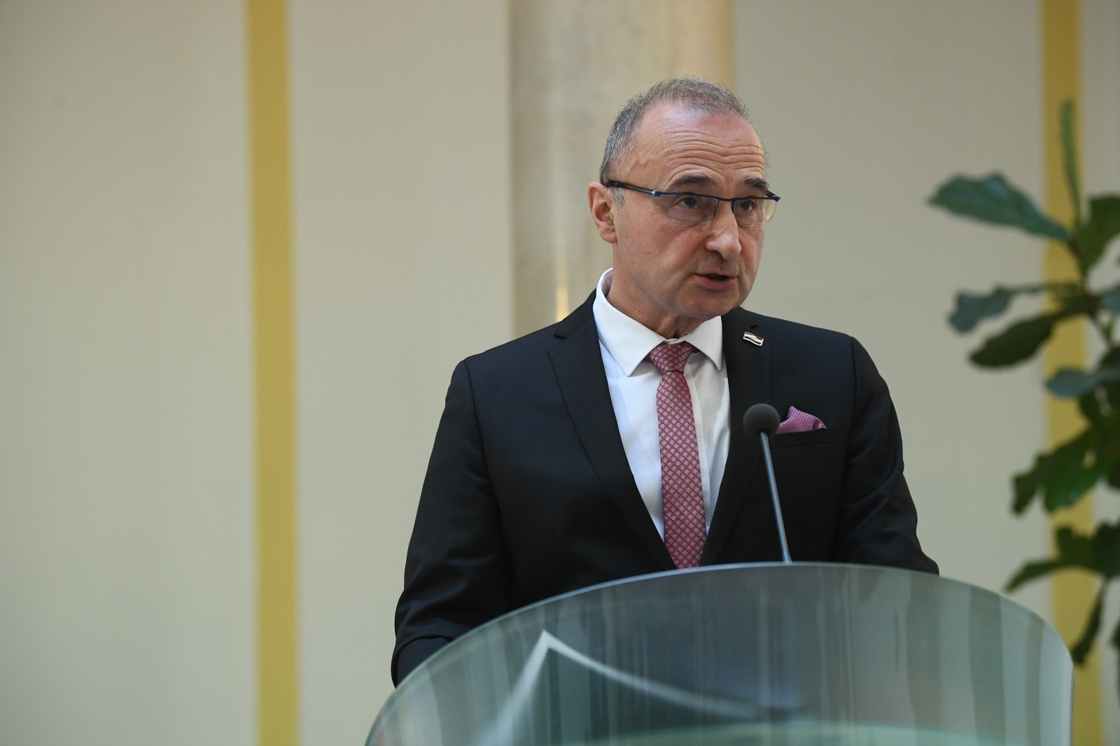 Gordan Grlić Radman