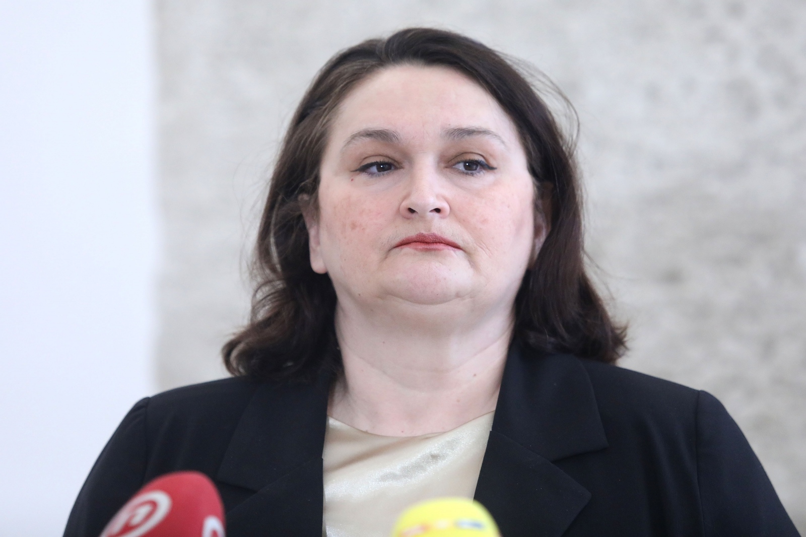 Zagreb: Renata Sabljar Dračevac o temi 'Hitna potreba reforme zdravstvenog sustava'