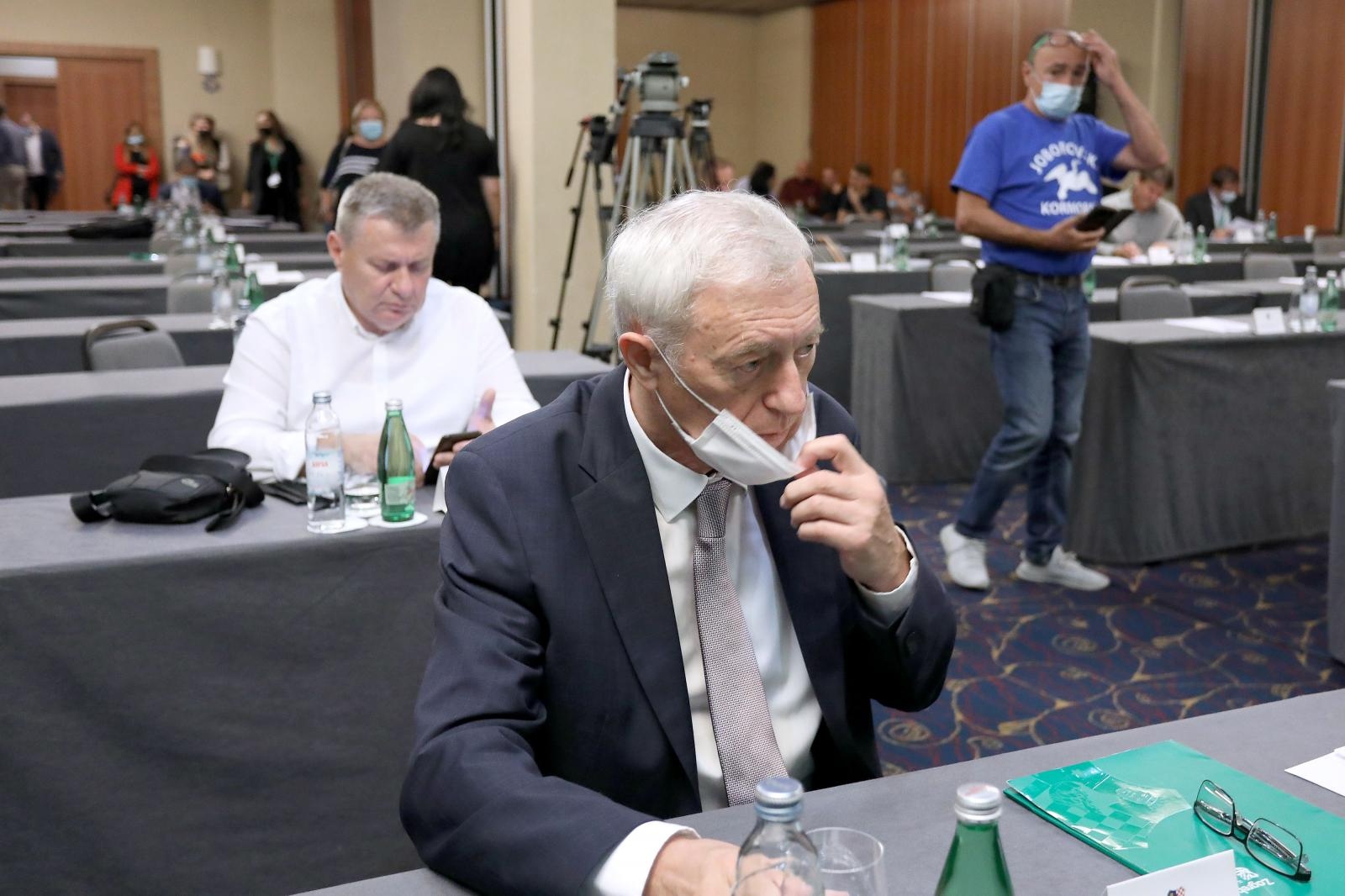 Stjepan Kožić, Zagrebačka županija