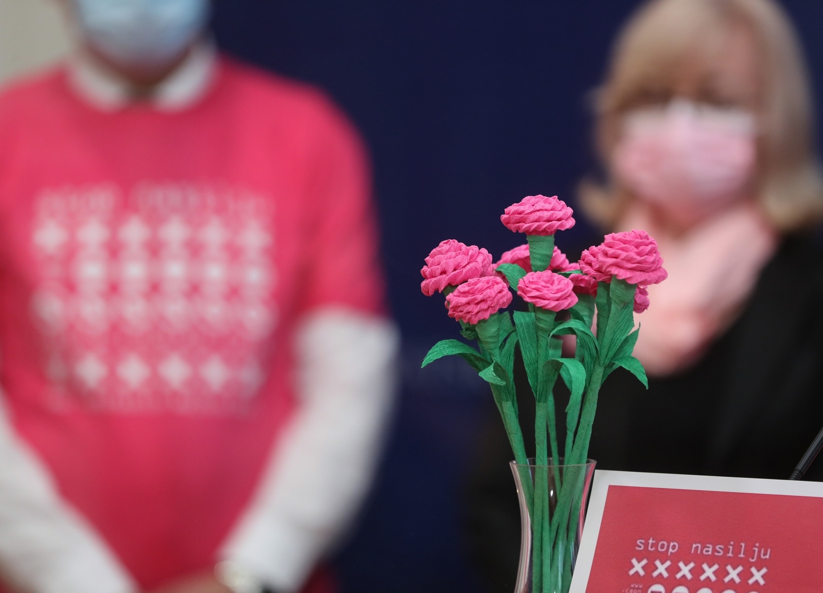 vršnjačko nasilje, Saborski Odbor za obitelj, mlade i sport