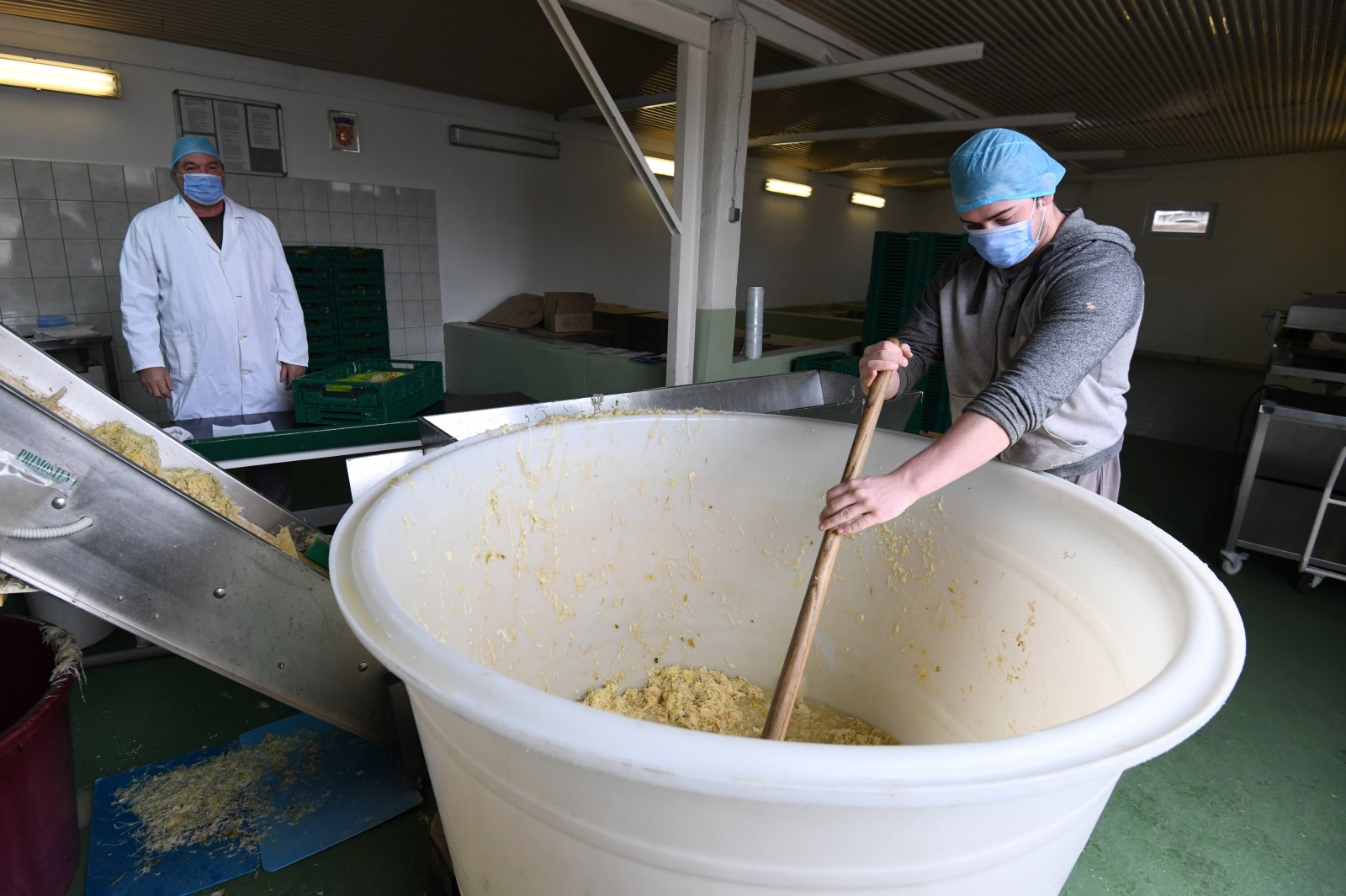 Primošten: Poljoprivredna zadruga osim maslinovog ulja proizvodi i kiselo zelje