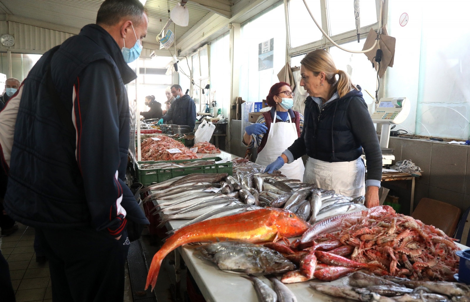 riba, ribarnica, Šibenik