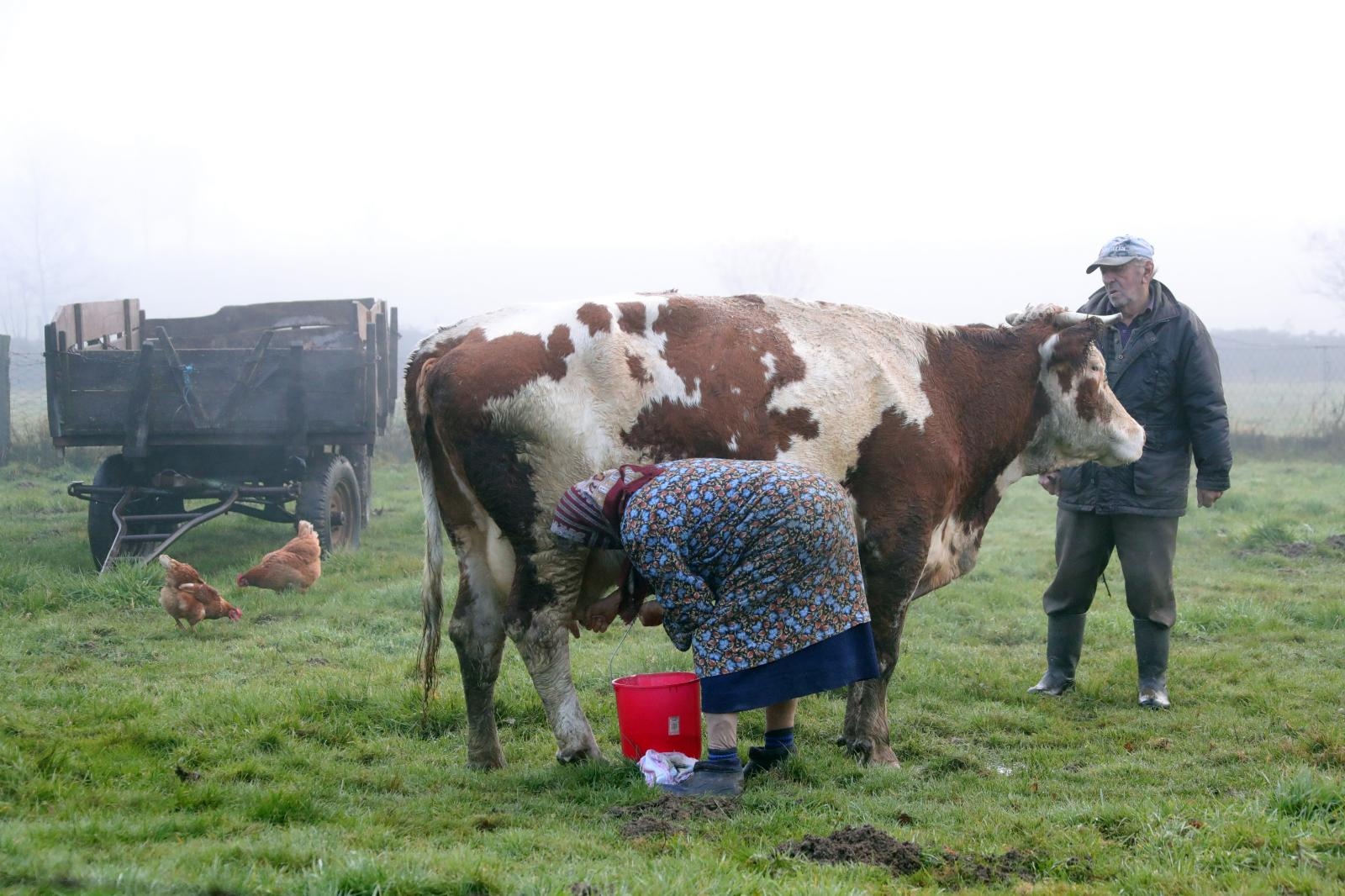 Posljedice potresa u selu Majska Poljana