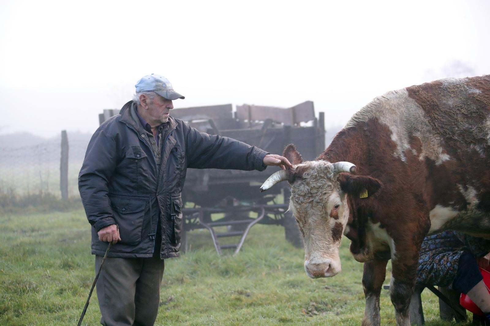 Posljedice potresa u selu Majska Poljana