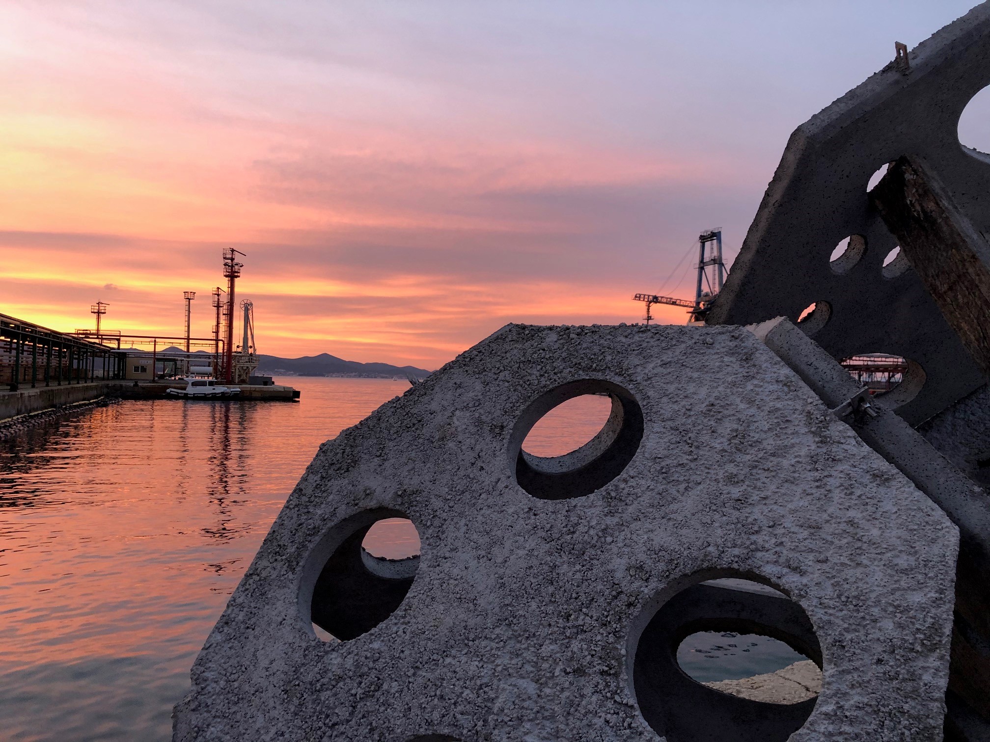 umjetni riblji greben, riblji greben, zadar, Ošljak