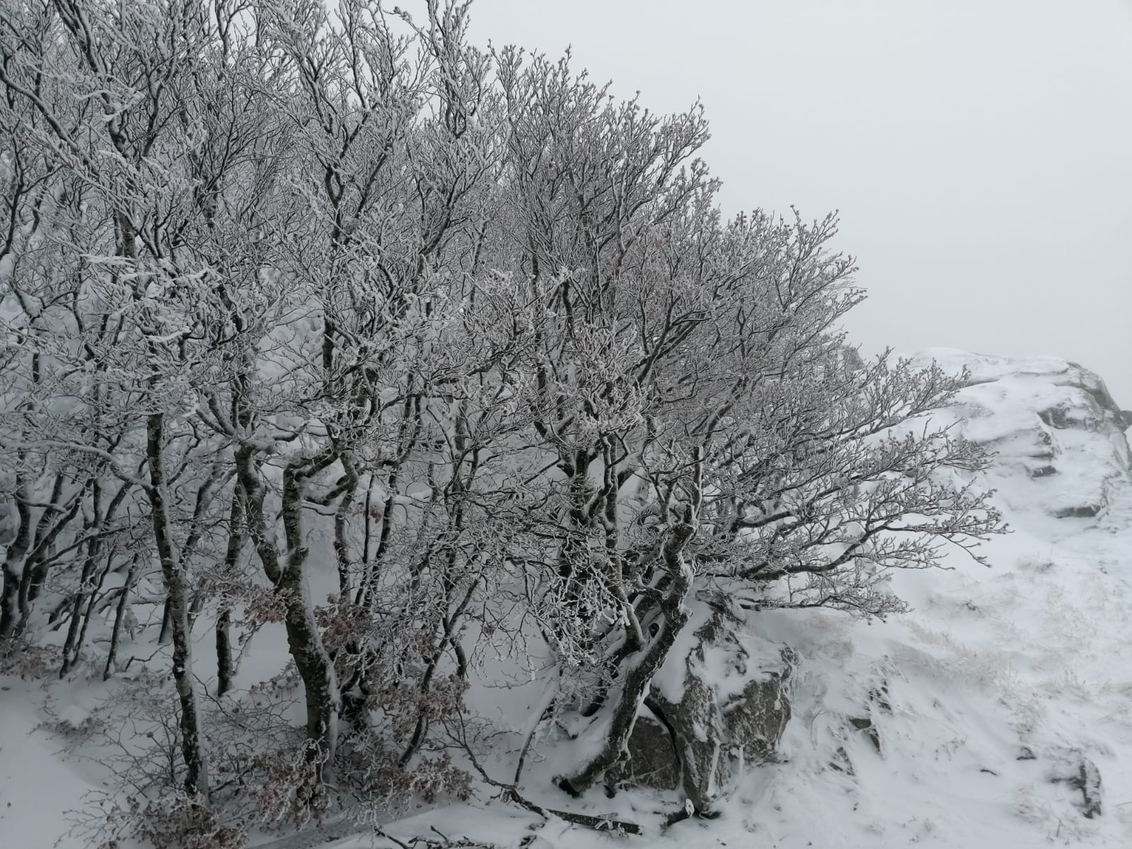 a24d954b-1b89-4ead-a300-9c28644b98a2