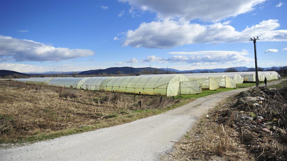 aa_picture_20150211_4513534_high