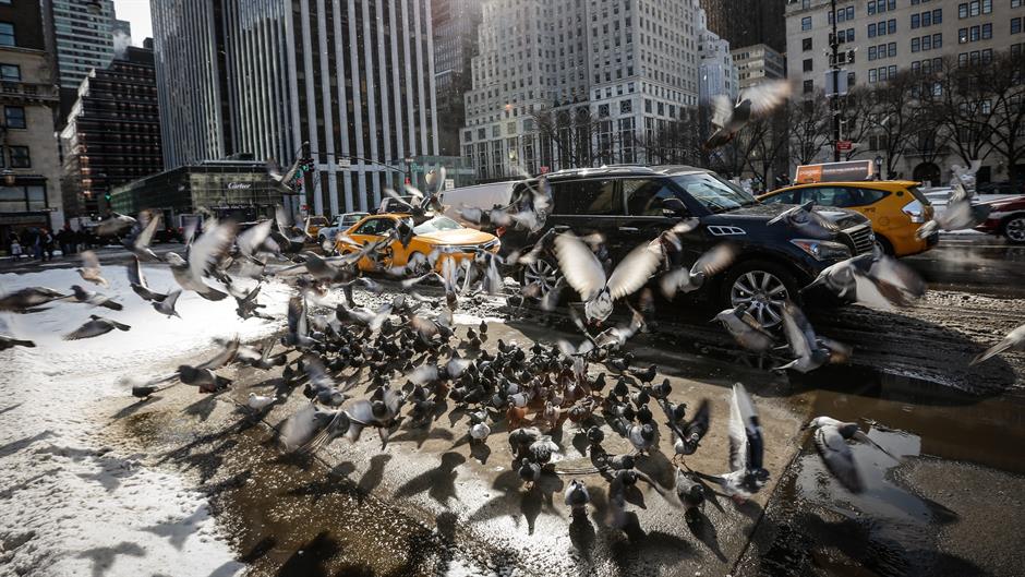 aa_picture_20150217_4571921_high