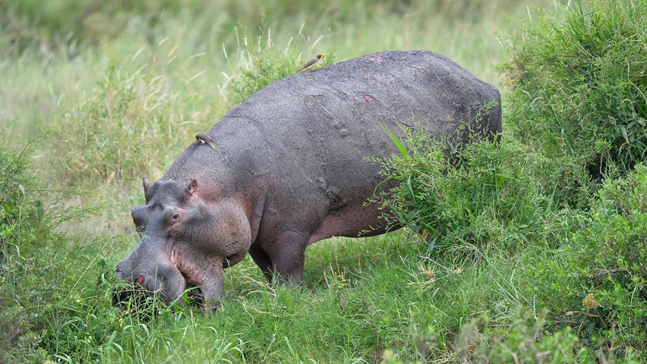 aa_picture_20150218_4577563_high