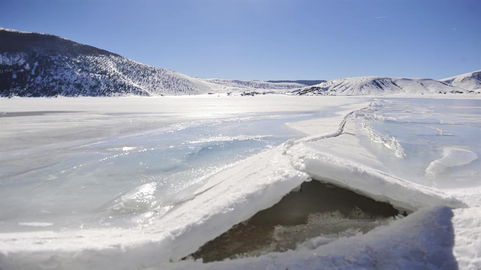 aa_picture_20150219_4583497_high