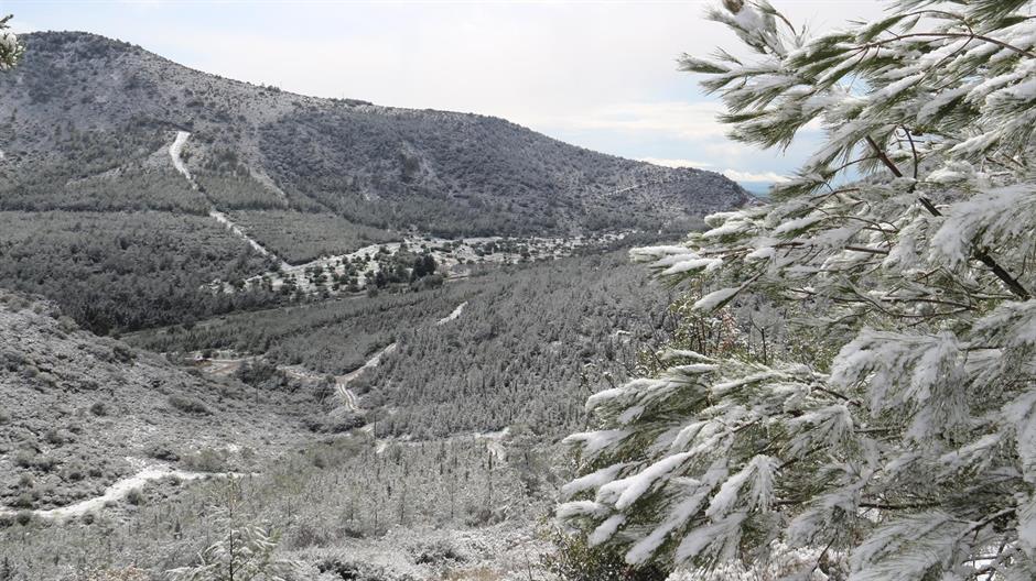 aa_picture_20150219_4590933_high