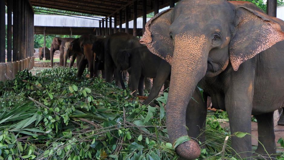 aa_picture_20150519_5375822_high