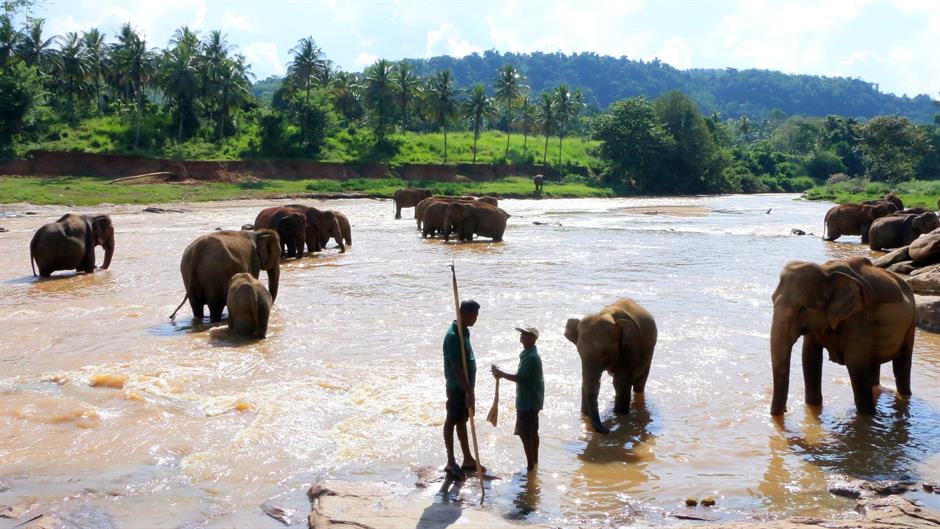 aa_picture_20150519_5375824_high