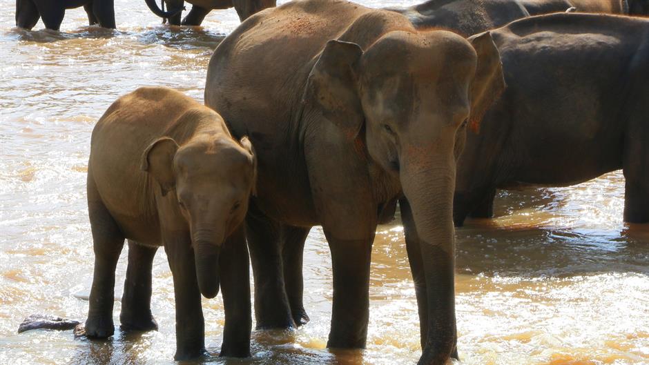 aa_picture_20150519_5375828_high