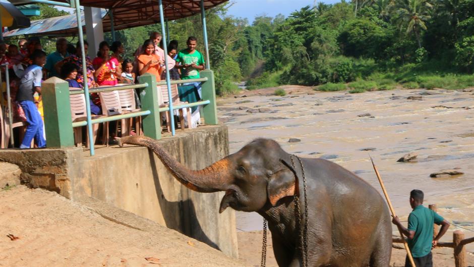 aa_picture_20150519_5375834_high