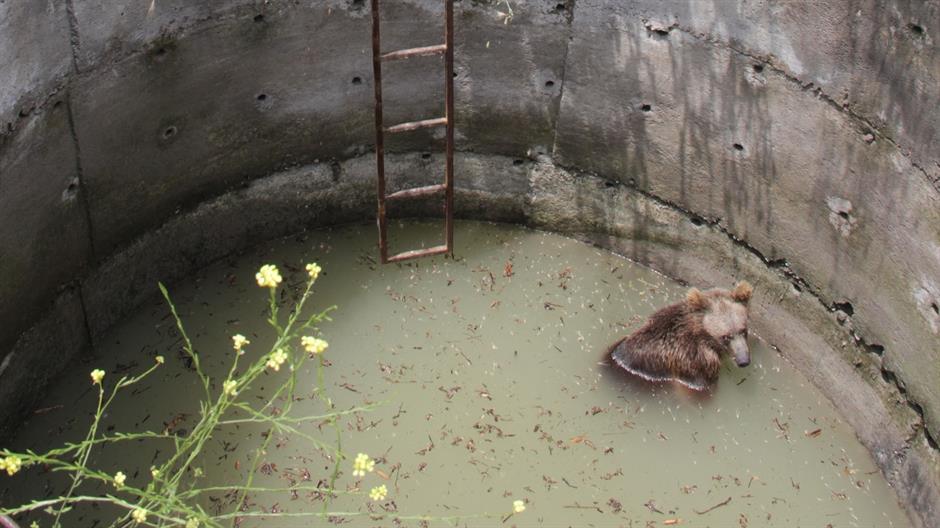 aa_picture_20150615_5631285_high