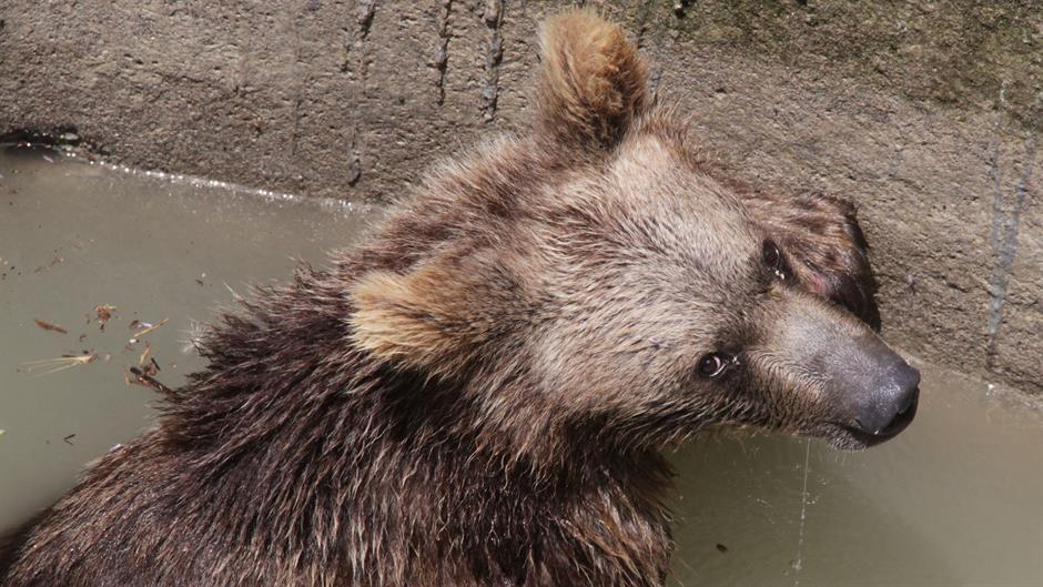 aa_picture_20150615_5631286_high