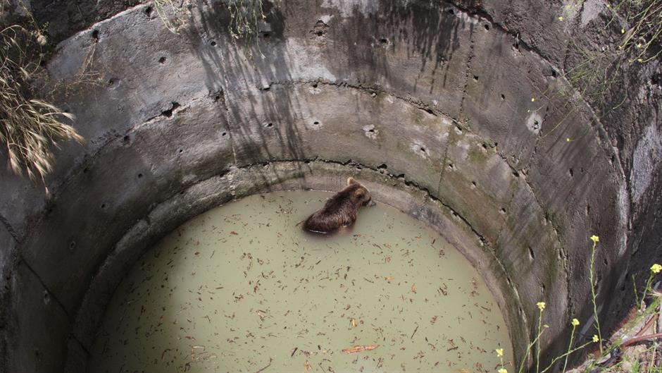 aa_picture_20150615_5631287_high