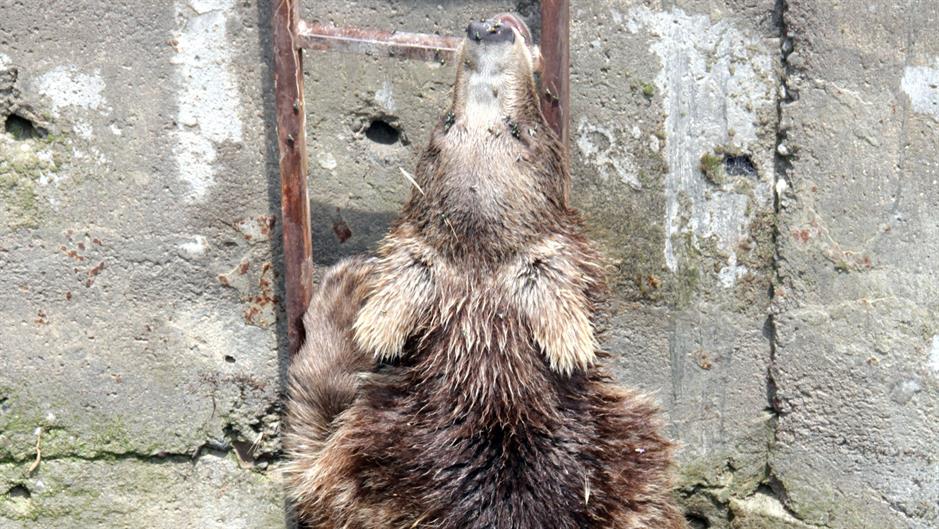 aa_picture_20150615_5631289_high