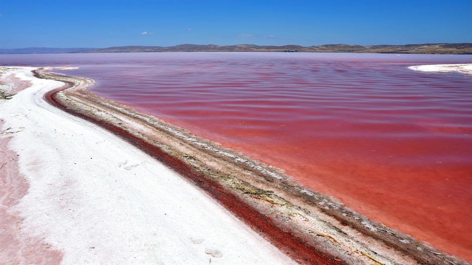 aa_picture_20150719_5889106_high