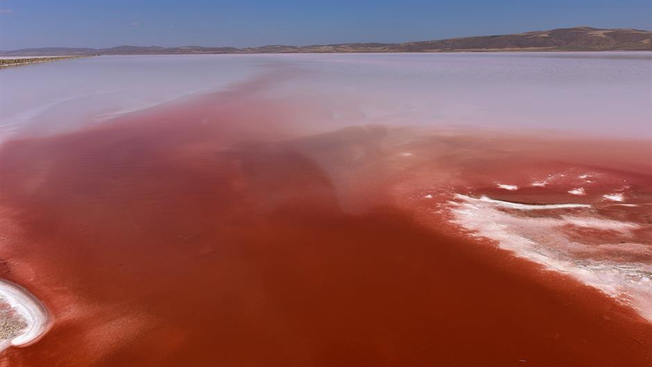 aa_picture_20150719_5889118_high