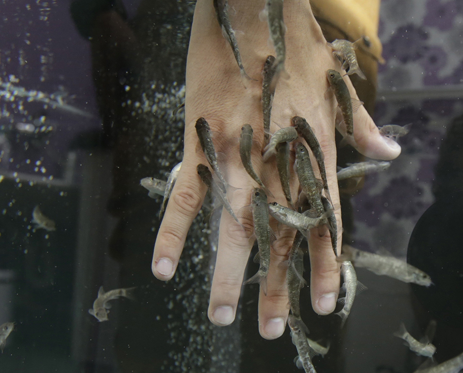 ANADOLIJA/Ismail DURU