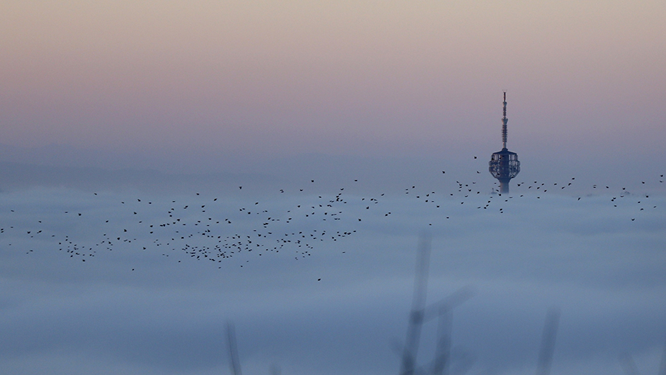 Anadolija/Kemal Zorlak