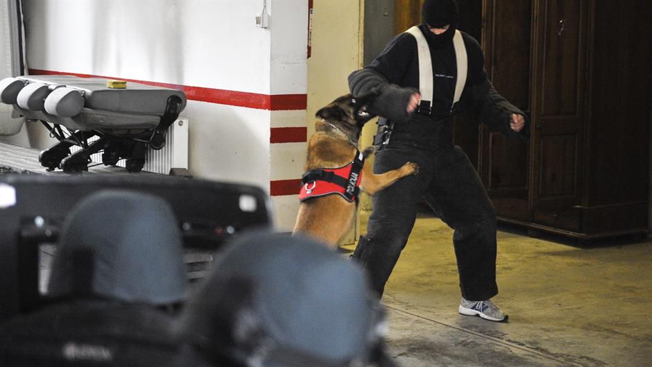 aa_picture_20160102_7199932_high