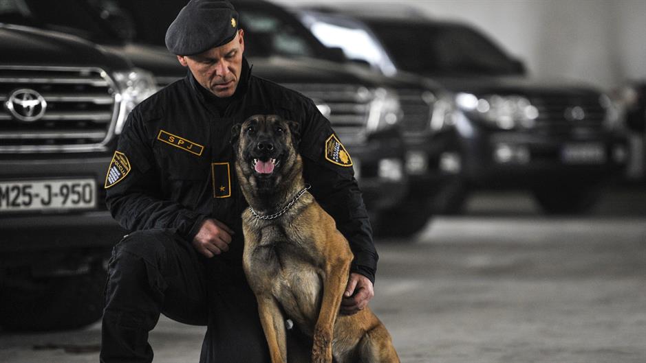 aa_picture_20160102_7199939_high