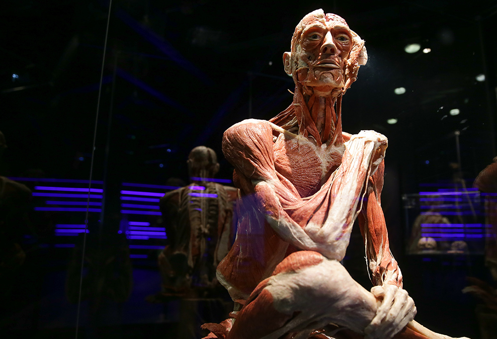 AFP/Daniel Leal Olivas