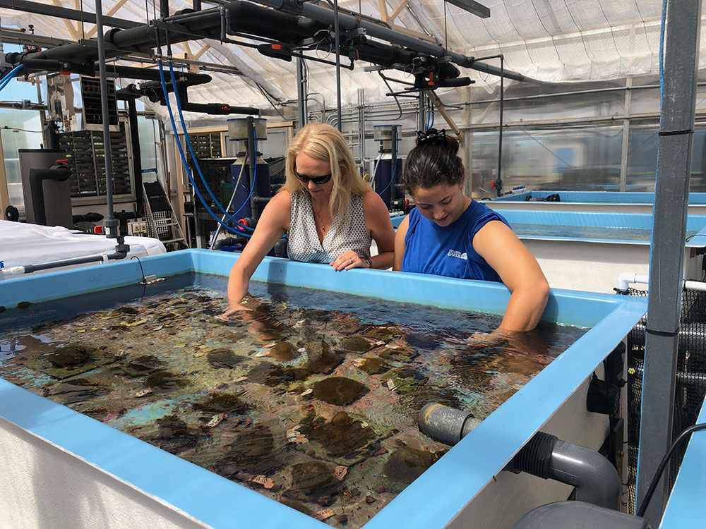 AFP/GIANRIGO MARLETTA