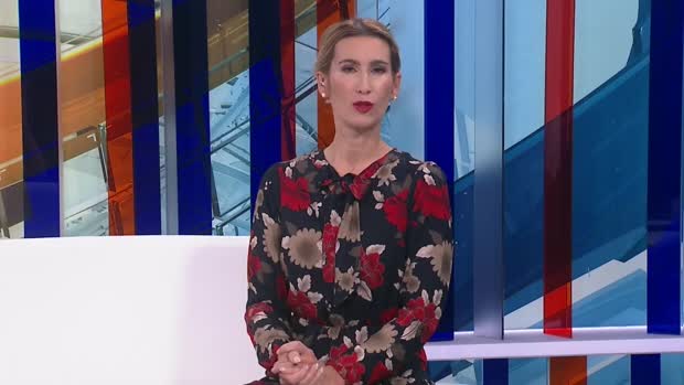 "Ako se Plenković u čemu dokazao, to je da je vješt u šopingu"