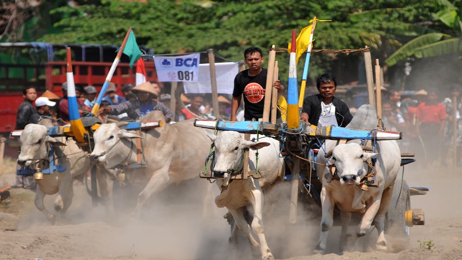 Anadolija, Agoes Rudianto