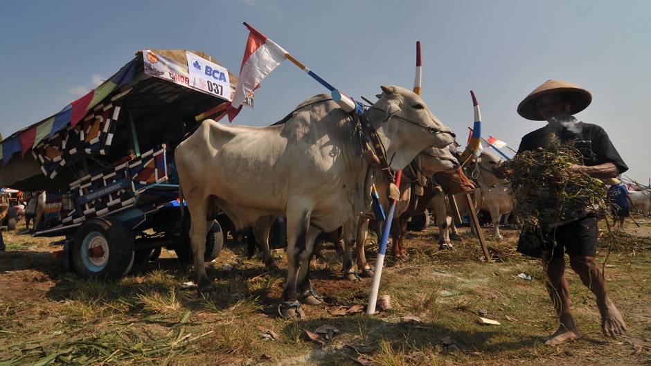 Anadolija, Agoes Rudianto (6)