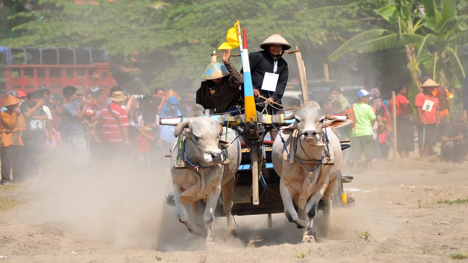 Anadolija, Agoes Rudianto (7)