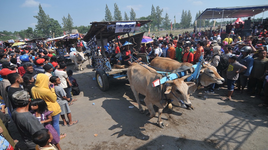 Anadolija, Agoes Rudianto (8)