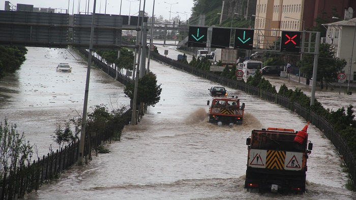 Anadolija_Atakan Çıtlak