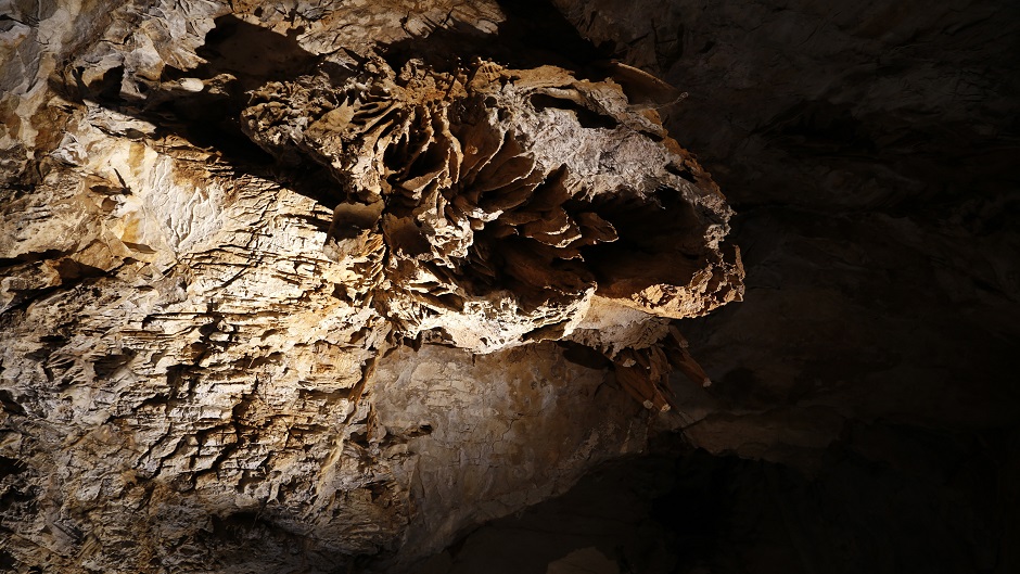 Anadolija/Denis Zuber