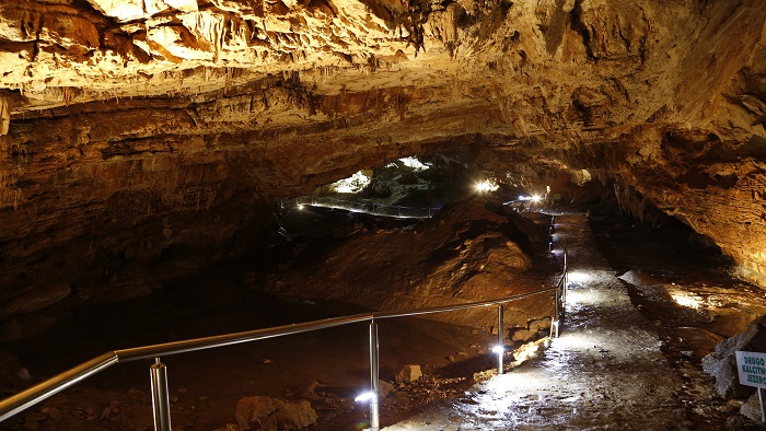 Anadolija_Denis Zuberi