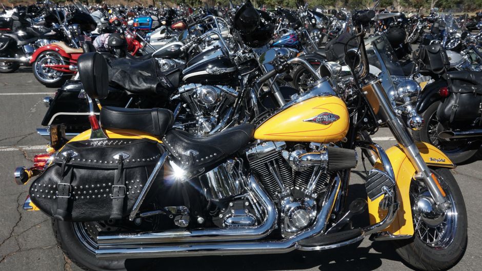 Anadolija_Mintaha Neslihan Erolu