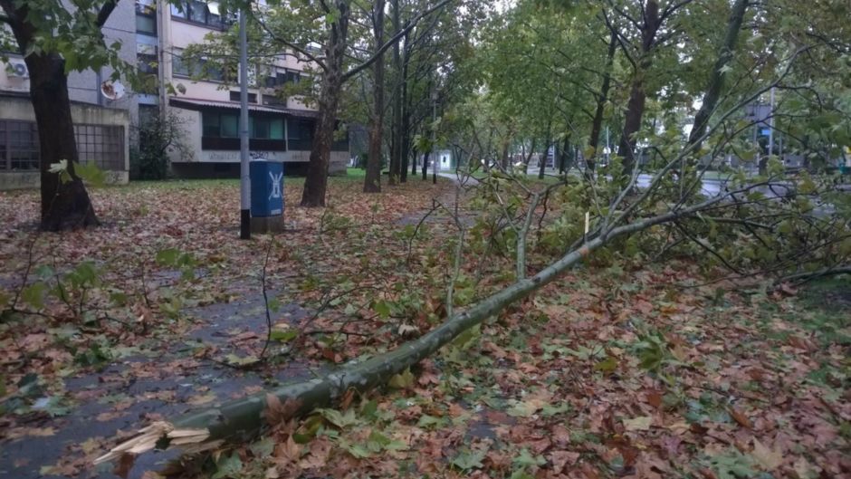 Anadolija/Stipe Mayiç