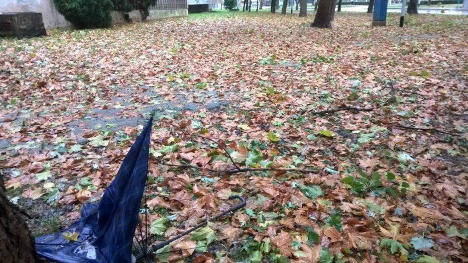 Anadolija/Stipe Mayiç