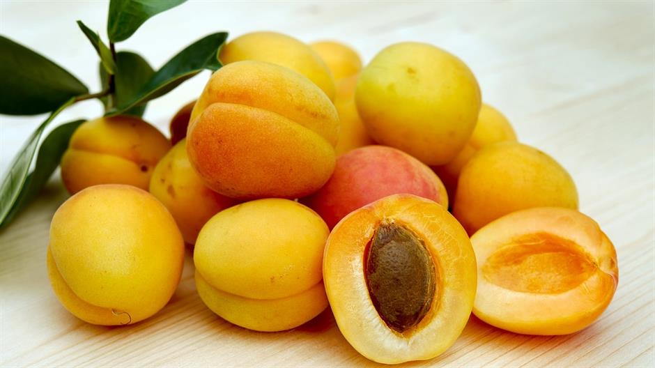 apricots-2523272_1280