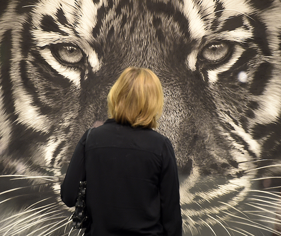 Tanjug/AP/Martin Meissner