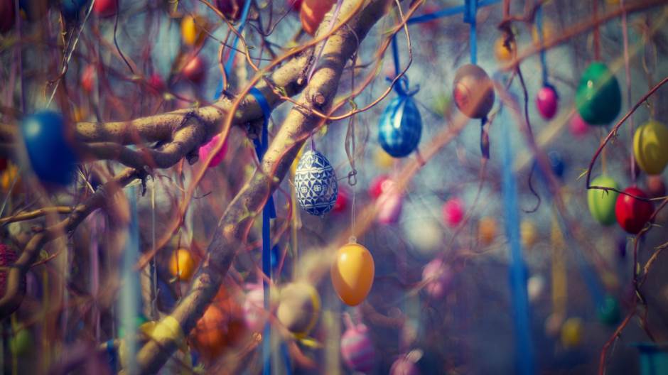 art-blur-branches-210217