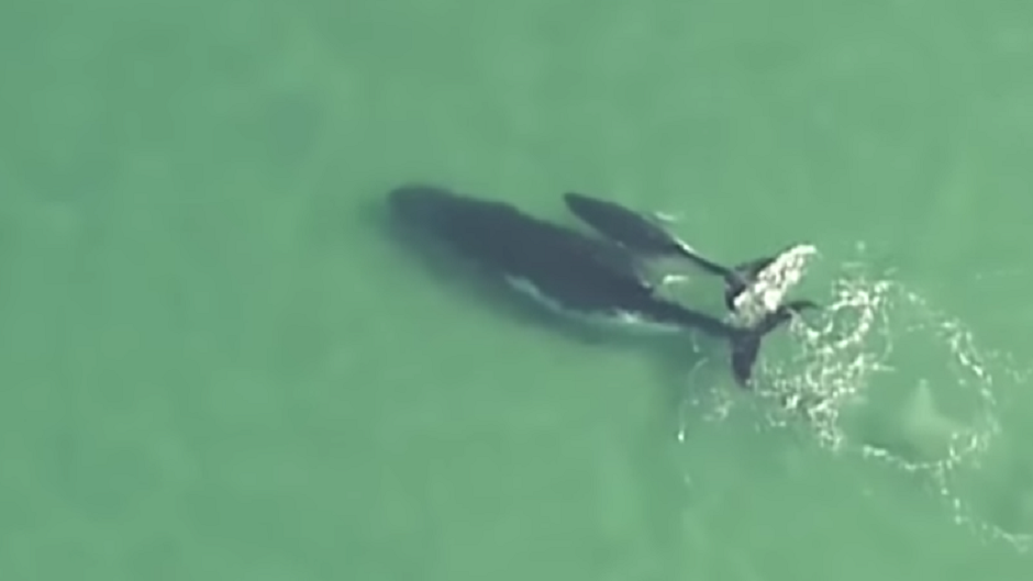 asfsdgfdhgfghjgjghjgj