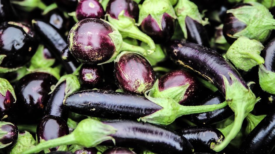 aubergine-3471316_1920